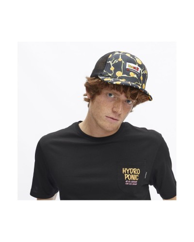 Gorra trucker Hydroponic Dragon Ball Z DBZ Balls