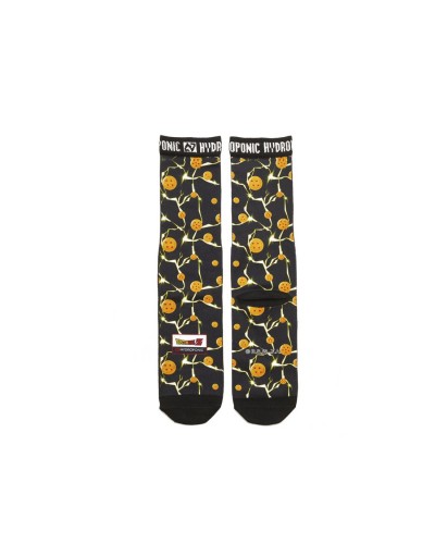 Calcetines Hydroppnic Dragon Ball Z Balls black