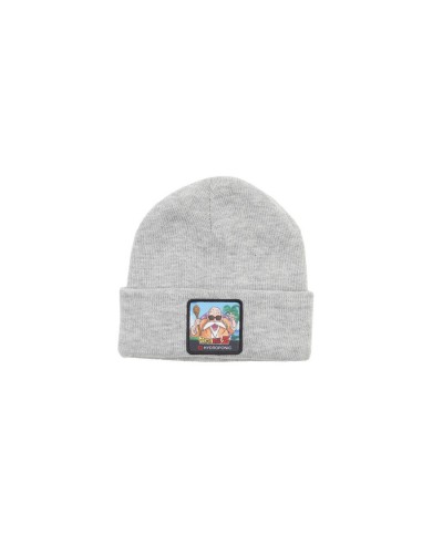 Gorro invierno Hydroponic Dragon Ball Z Kame Sennin light grey