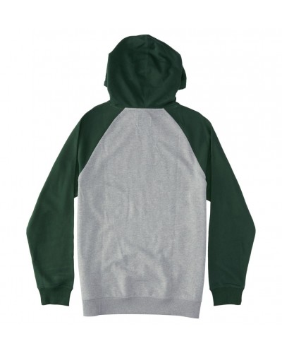 Sudadera capucha DC Shoes pilot raglan light grey green