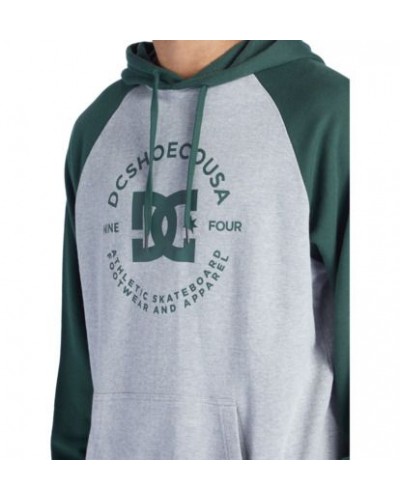 Sudadera capucha DC Shoes pilot raglan light grey green