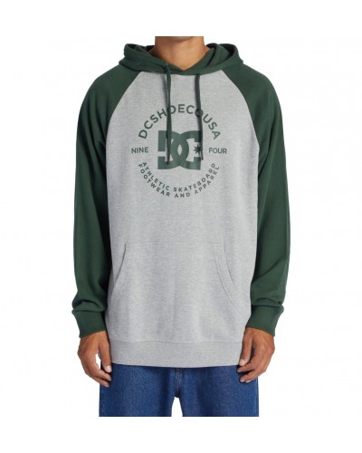 Sudadera capucha DC Shoes pilot raglan light grey green