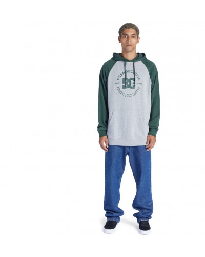 Sudadera capucha DC Shoes pilot raglan light grey green