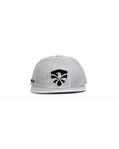 Gorra plana Flyin Eagle snapback gris