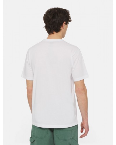 Camiseta Dickies Aitkin white green