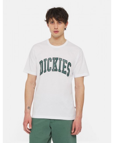 Camiseta Dickies Aitkin white green