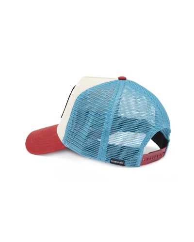 Gorra trucker Hydroponic NA Eyes CP natural terracota blue