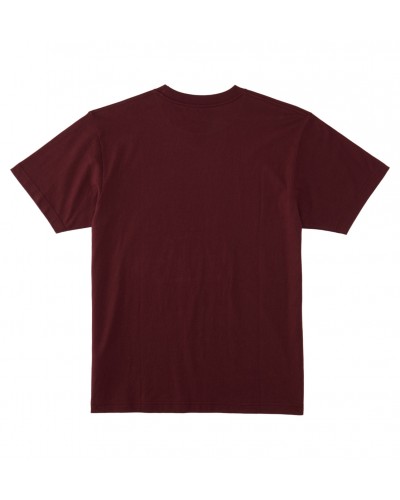 Camiseta DC Shoes Rebuild tawny port