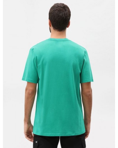 Camiseta Dickies Tifton green yellow