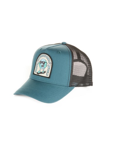 Gorra curva trucker Hydroponic Globe CP teal green black