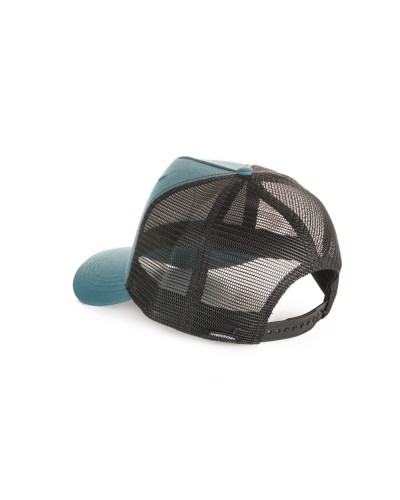 Gorra curva trucker Hydroponic Globe CP teal green black