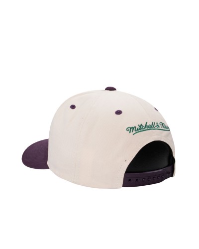 Gorra curva Mitchell & Ness Anaheim Ducks NHL Horizon Pro beige purple