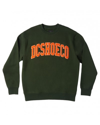 Sudadera crewneck DC Shoes Varsity mountain view