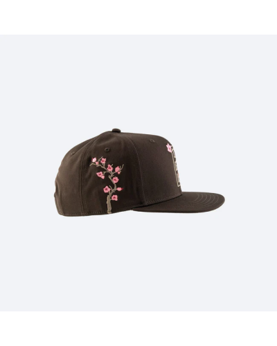 Gorra plana DGK Eternity brown