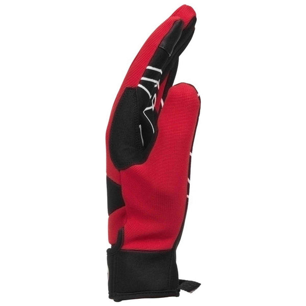 Imagen del producto con referencia EDYHN03055
